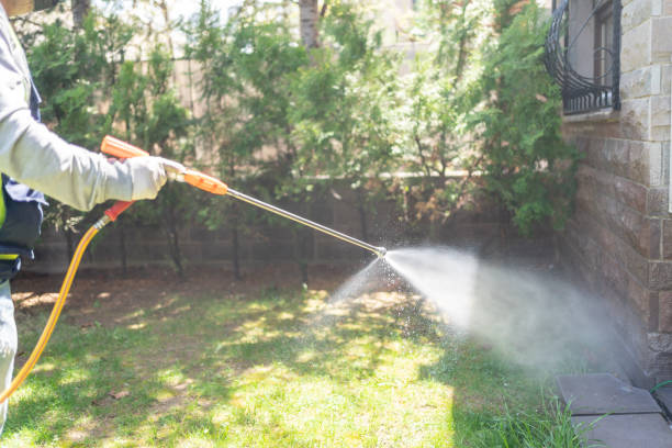 Best Fumigation Services  in Tomball, TX